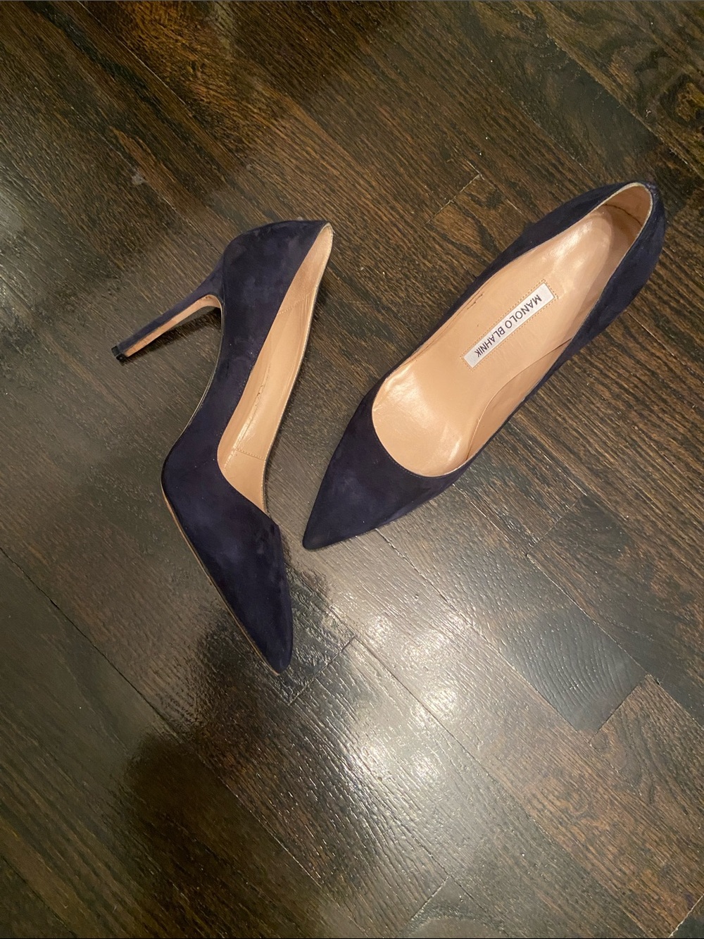 Manolo Blahnik Navy Suede Pointed Pumps